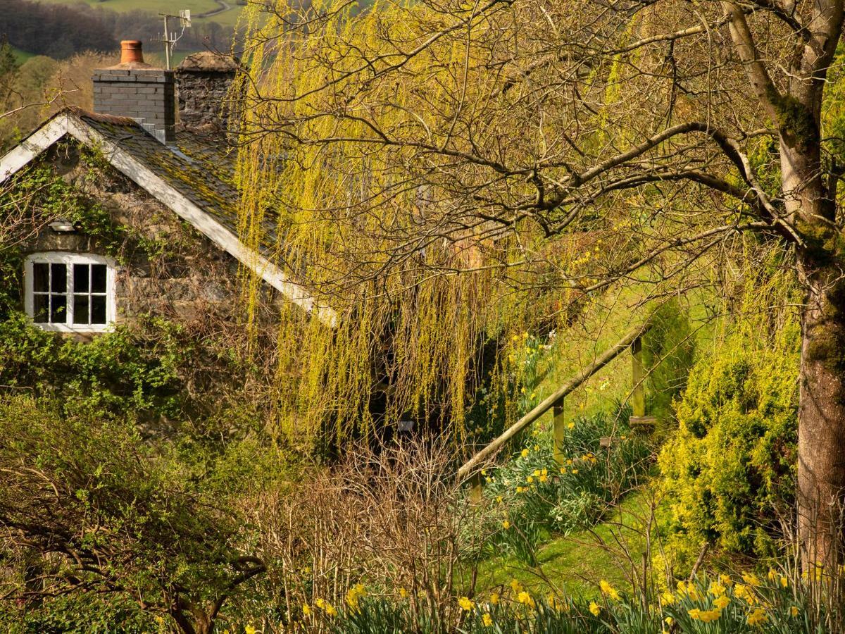 Dolgenau Cottages Trefeglwys Luaran gambar